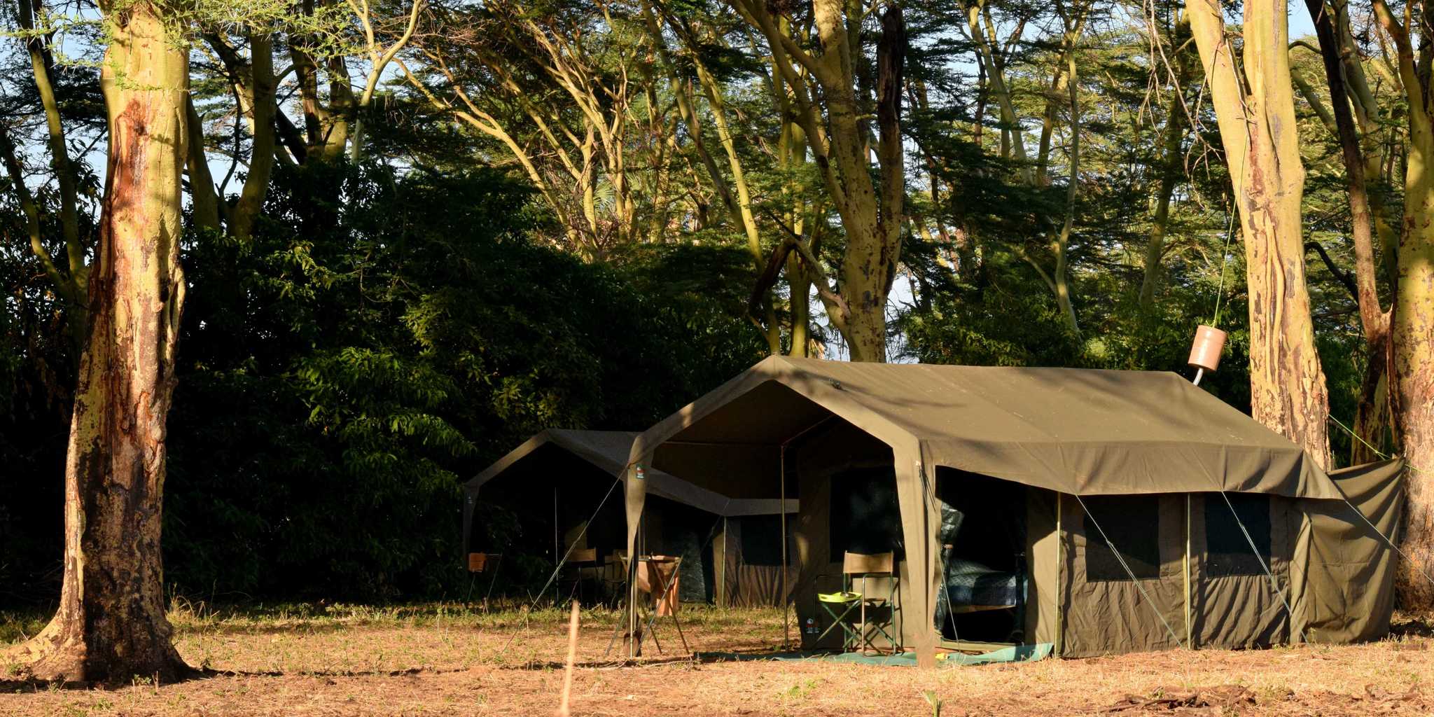 meru wilderness camp kenya tent yellow zebra safaris