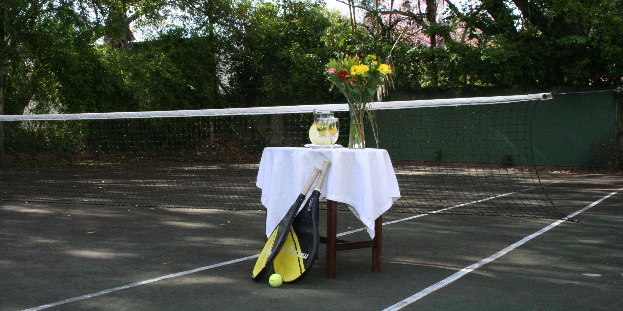 hacklewood hill country house south africa tennis yellow zebra safaris