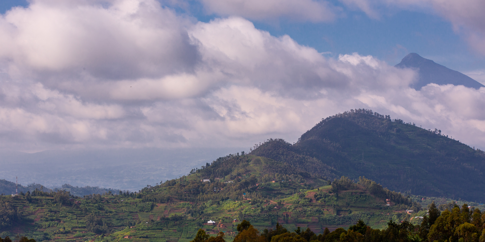 singita kataza house rwanda landscape yellow zebra safaris