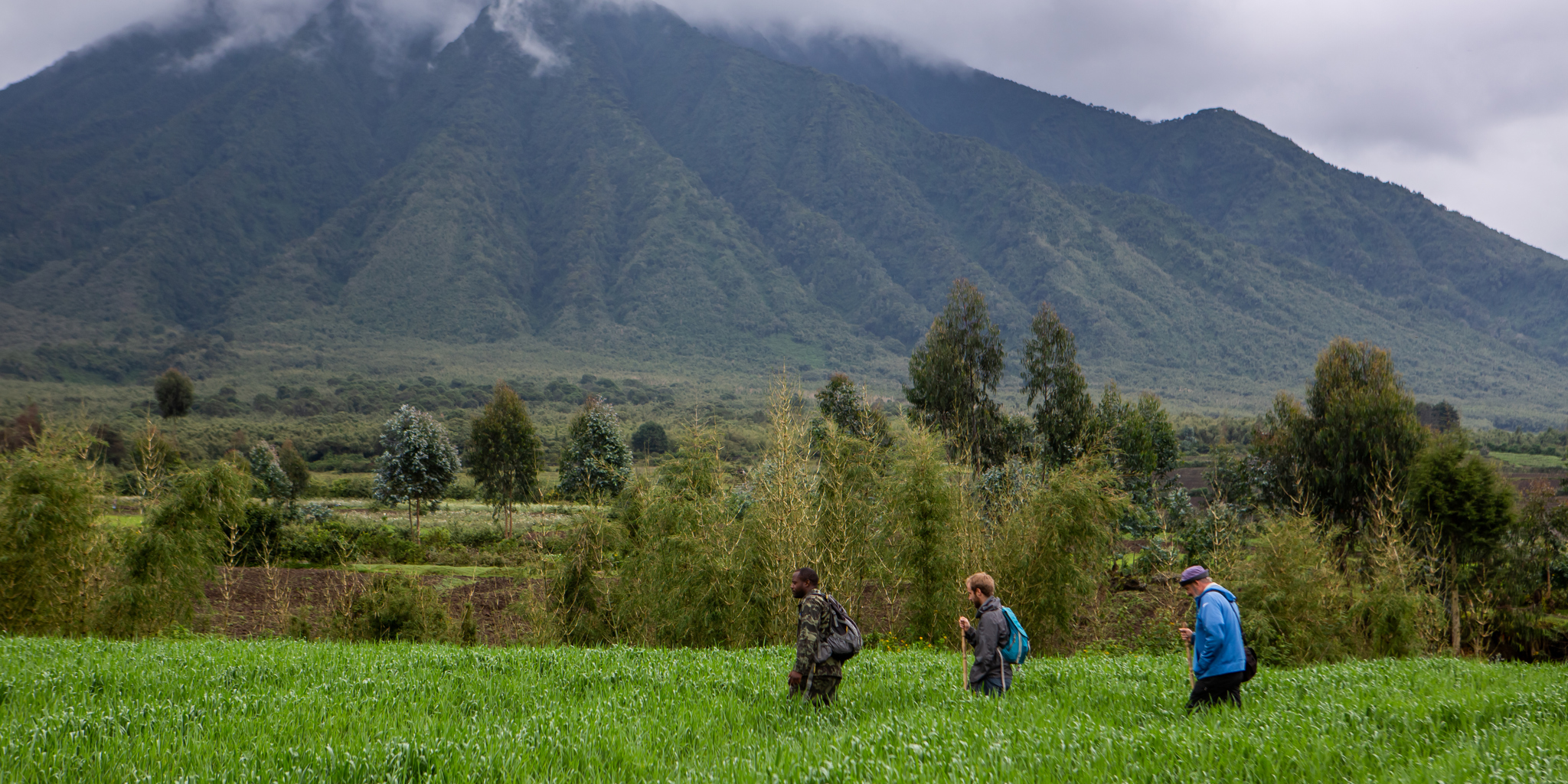 singita kataza house rwanda monkey trek yellow zebra safaris