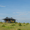 mara mara tented lodge tanzania tent yellow zebra safaris