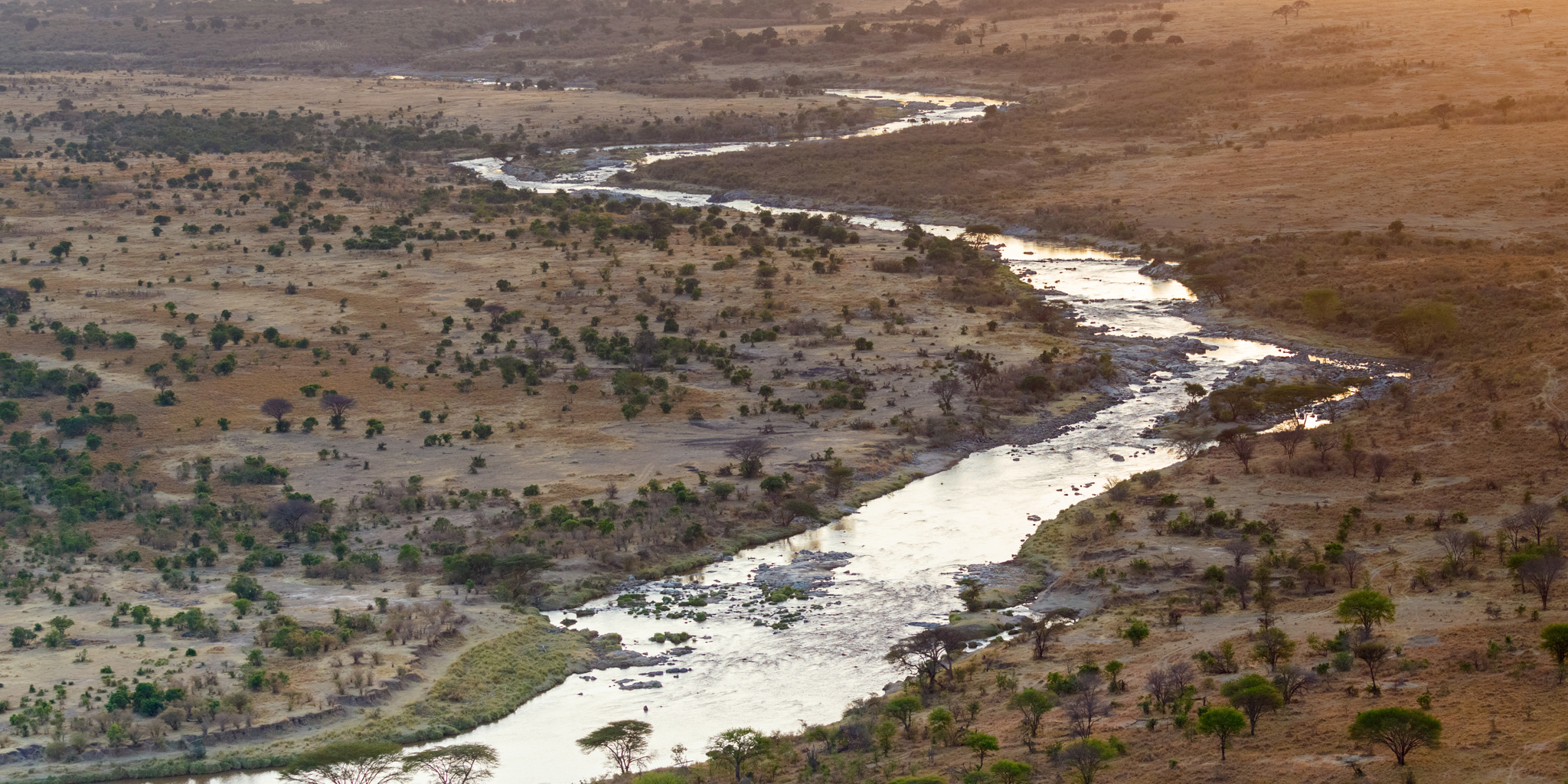 mara mara tented lodge tanzania yellow zebra safaris