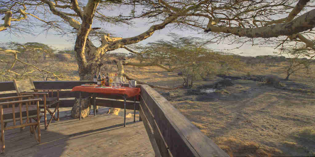 mwiba tented camp tanzania decking yellow zebra safaris