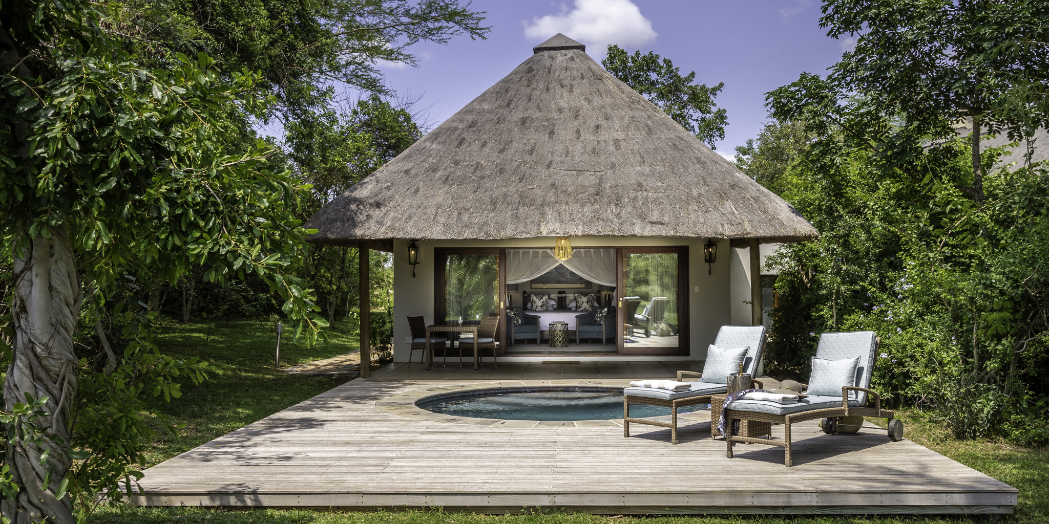 savanna private game reserve pool bedroom yellow zebra safaris