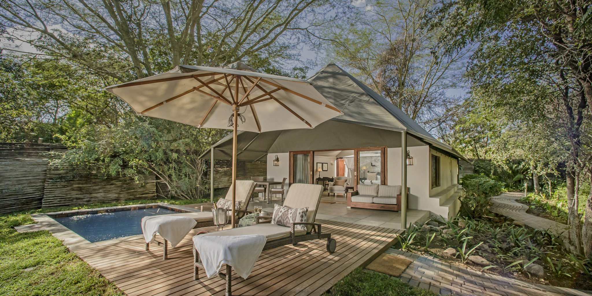 savanna private game reserve pool yellow zebra safaris