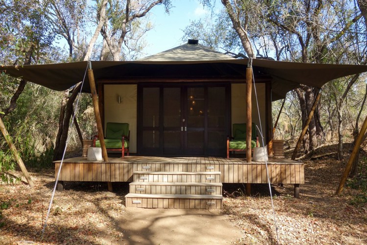 17NgalaTent south africa client review yellow zebra safaris