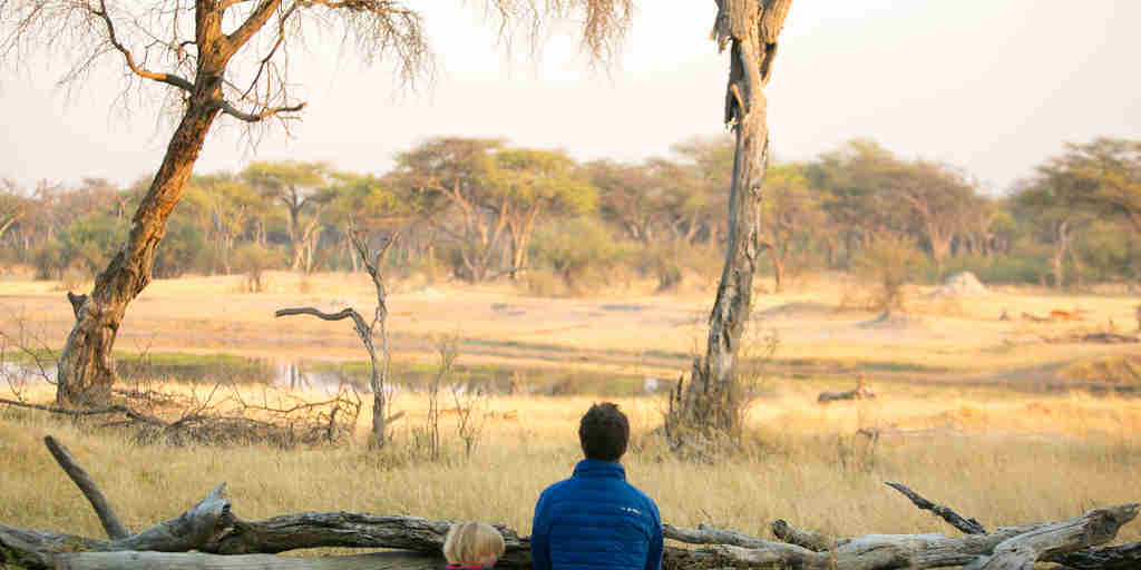 toms little hide game view zimbabwe yellow zebra safaris