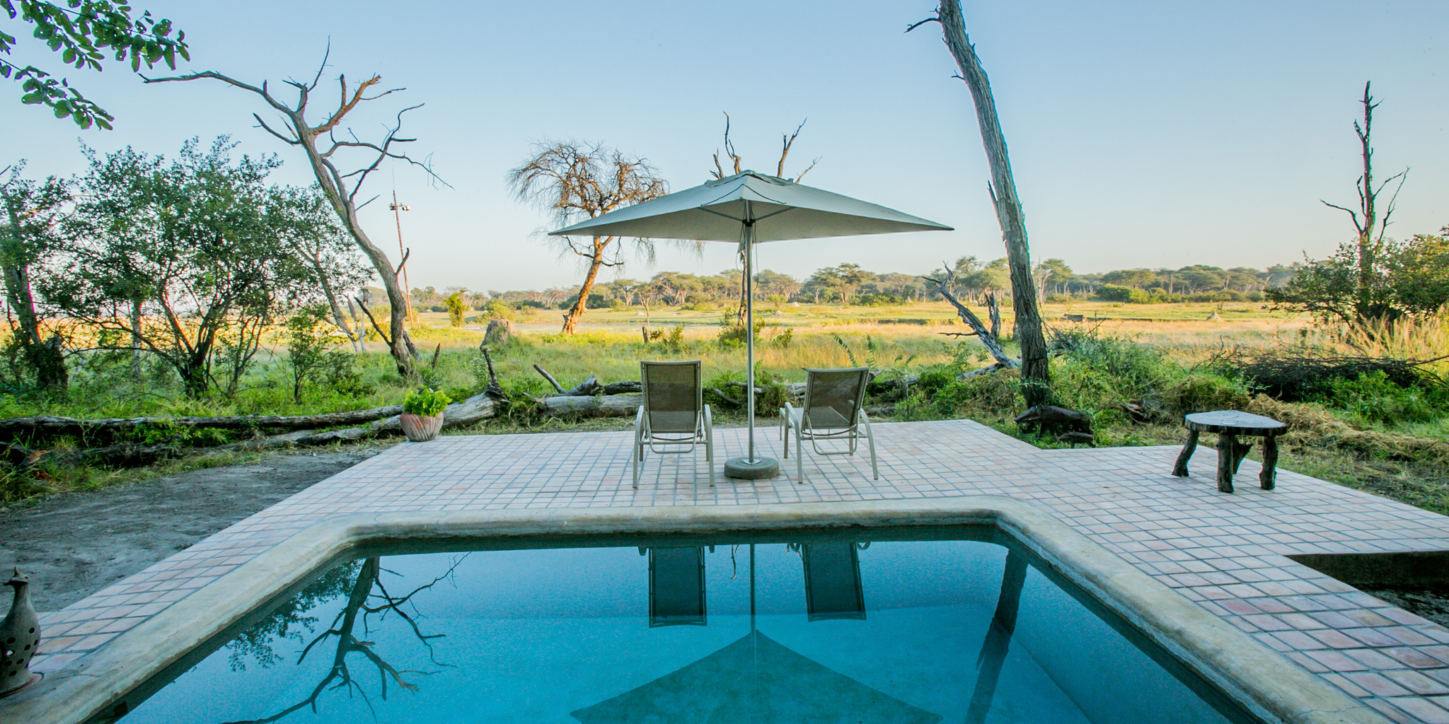 toms little hide pool zimbabwe yellow zebra safaris