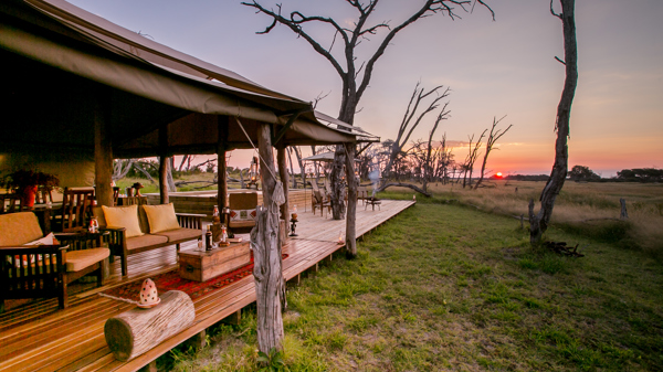 the private hide decking zimbabwe yellow zebra safaris