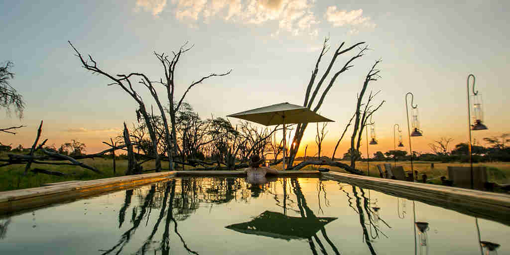 the private hide pool view zimbabwe yellow zebra safaris