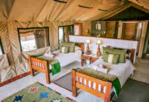 the hide safari camp twin bedroom zimbabwe yellow zebra safaris