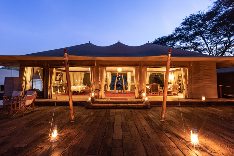 mara nyika kenya night view yellow zebra safaris