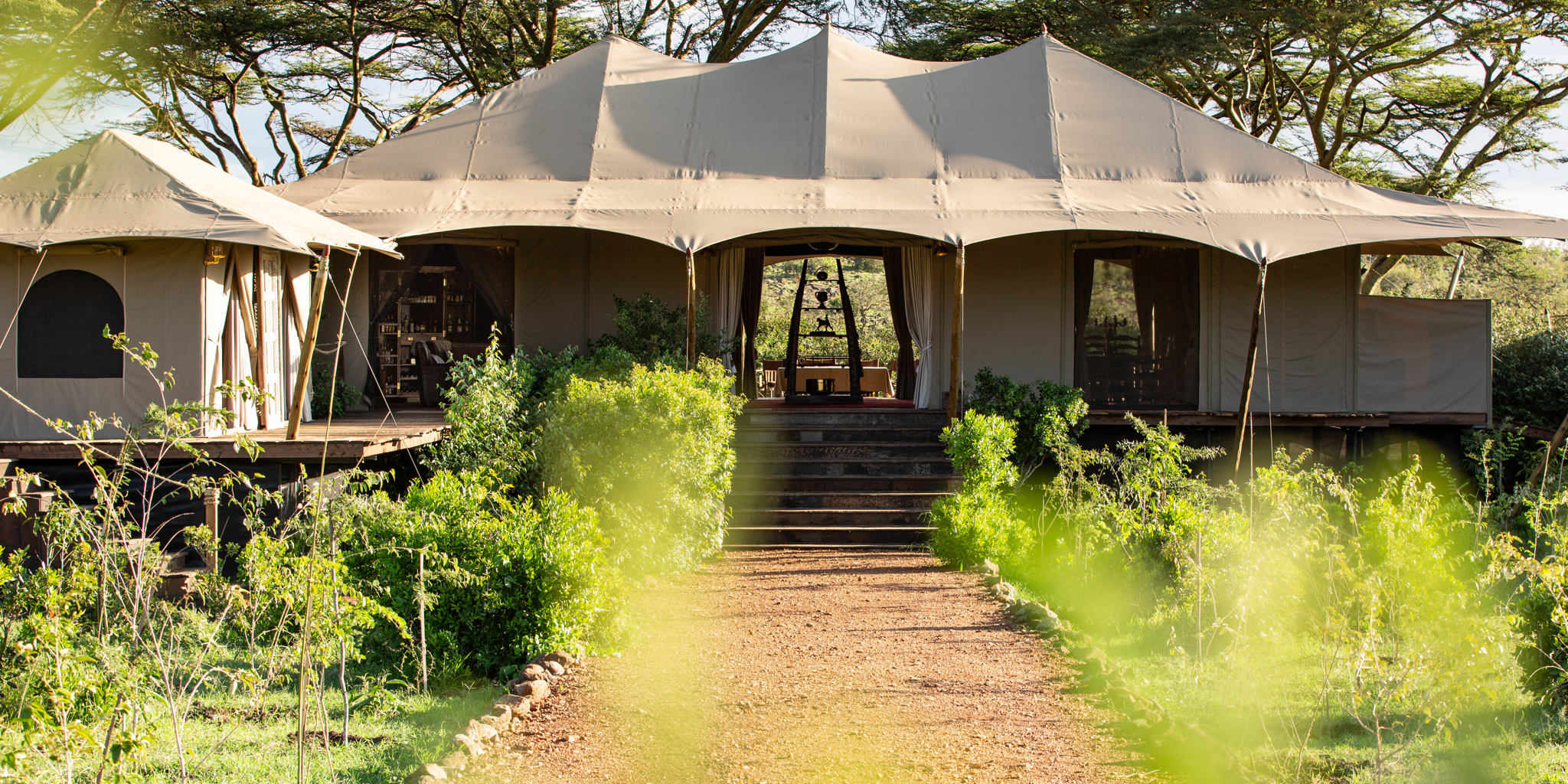 mara nyika kenya outside view yellow zebra safaris