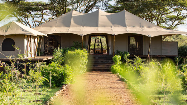 mara nyika kenya outside view yellow zebra safaris