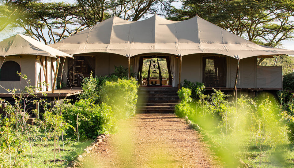 mara nyika kenya outside view yellow zebra safaris