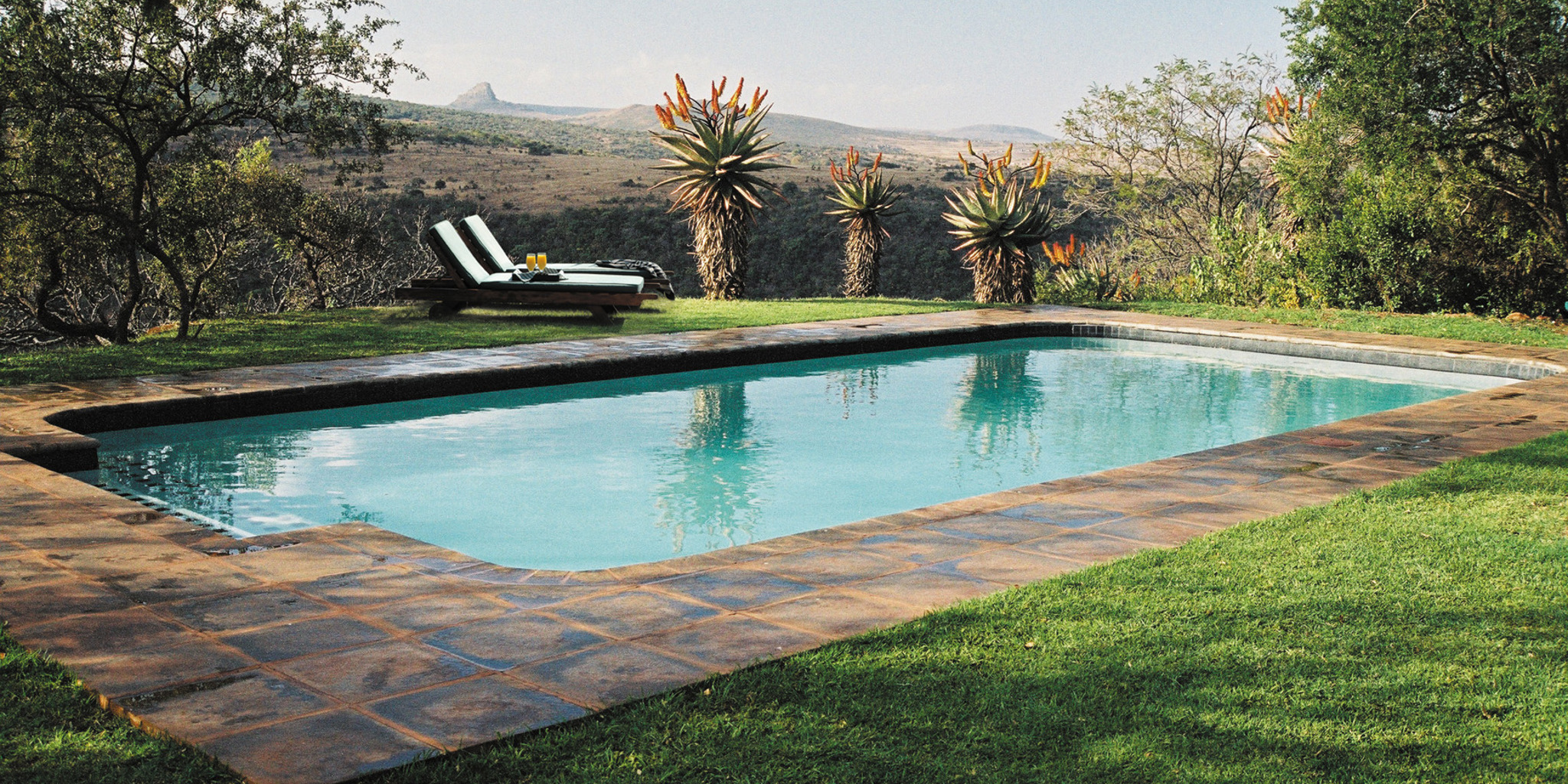 fugitives drift lodge pool south africa yellow zebra safaris
