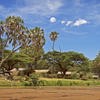 Elephant Bedroom Camp Samburu Park Kenya Yellow Zebra Safaris   Elephant Bedroom Saburu View Kenya Yellow Zebra Safaris 