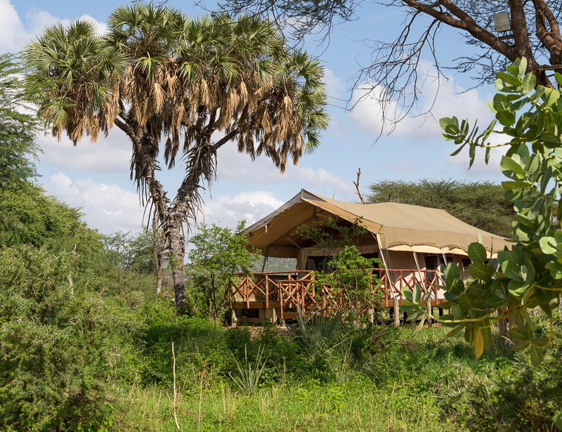 Elephant Bedroom Camp Samburu Park Kenya Yellow Zebra Safaris   Elephant Bedroom Camp Overview Kenya Yellow Zebra Safaris 