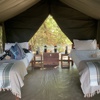 A walking safari with Deb Tittle, South Mapazi Camp Hotel Review, South Luangwa