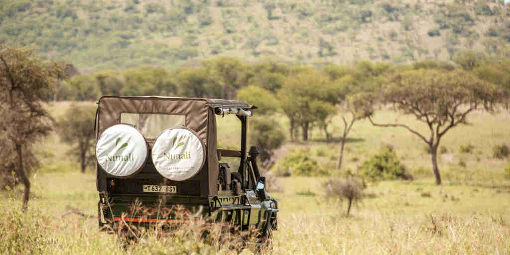 nimali central serengeti game drive tanzania yellow zebra safaris bright