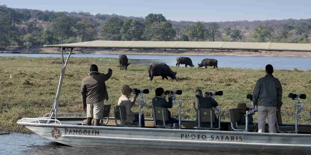 boat game, chobe national park, botswana safaris