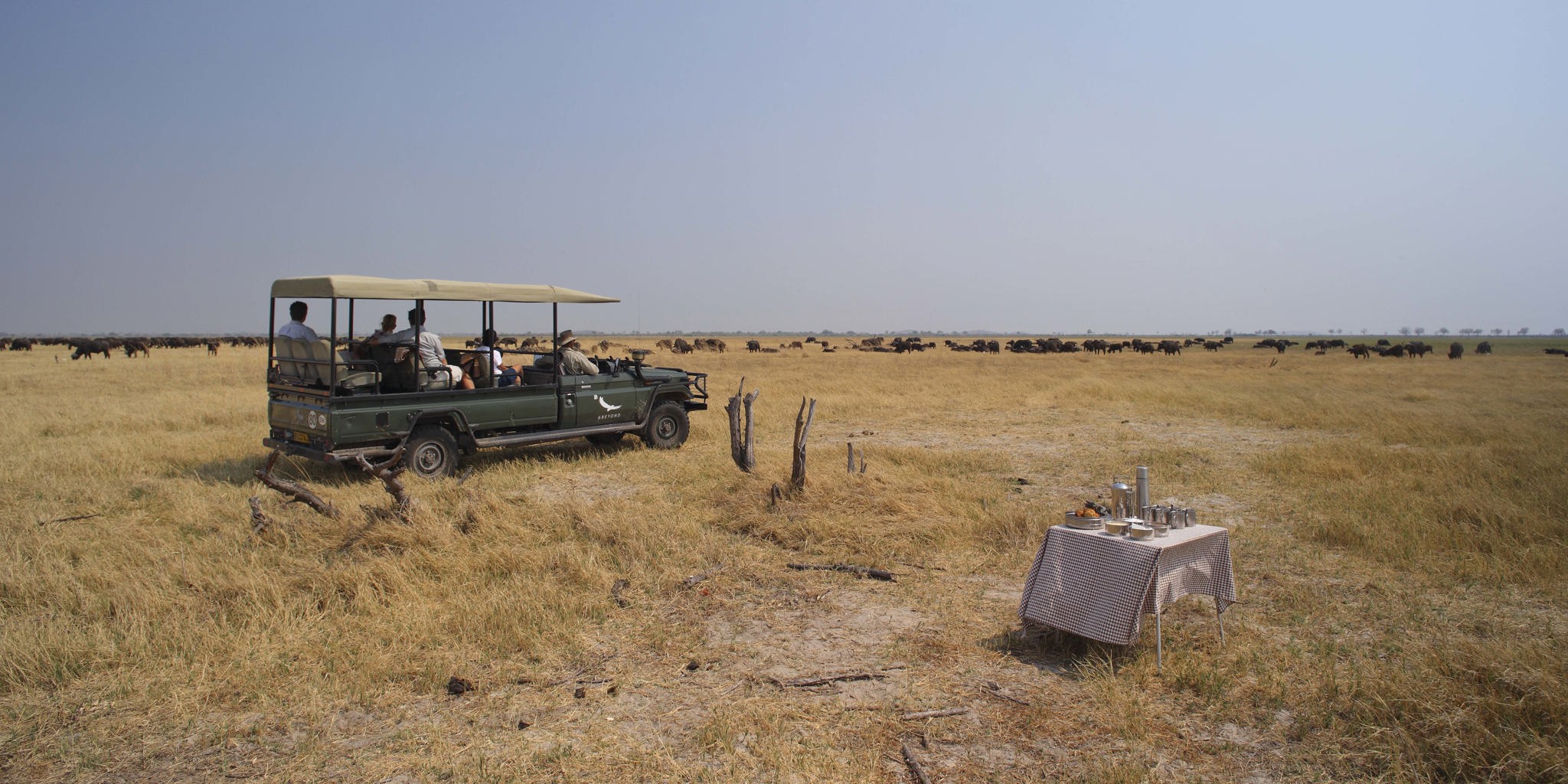 game drives in savute safari park, botswana, africa safaris