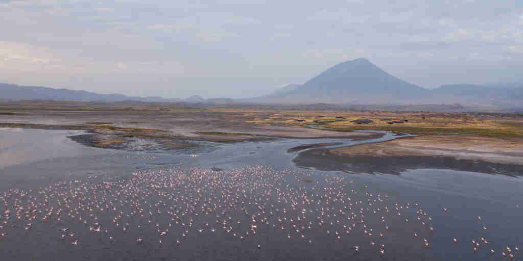Flamingo views across Lake Natron Camp, Tanzania