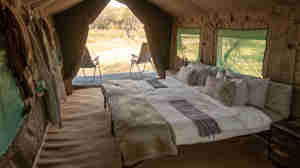 golden africa safaris double bedroom botswana yellow zebra safaris