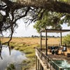 kings pool botswana decking yellow zebra safaris