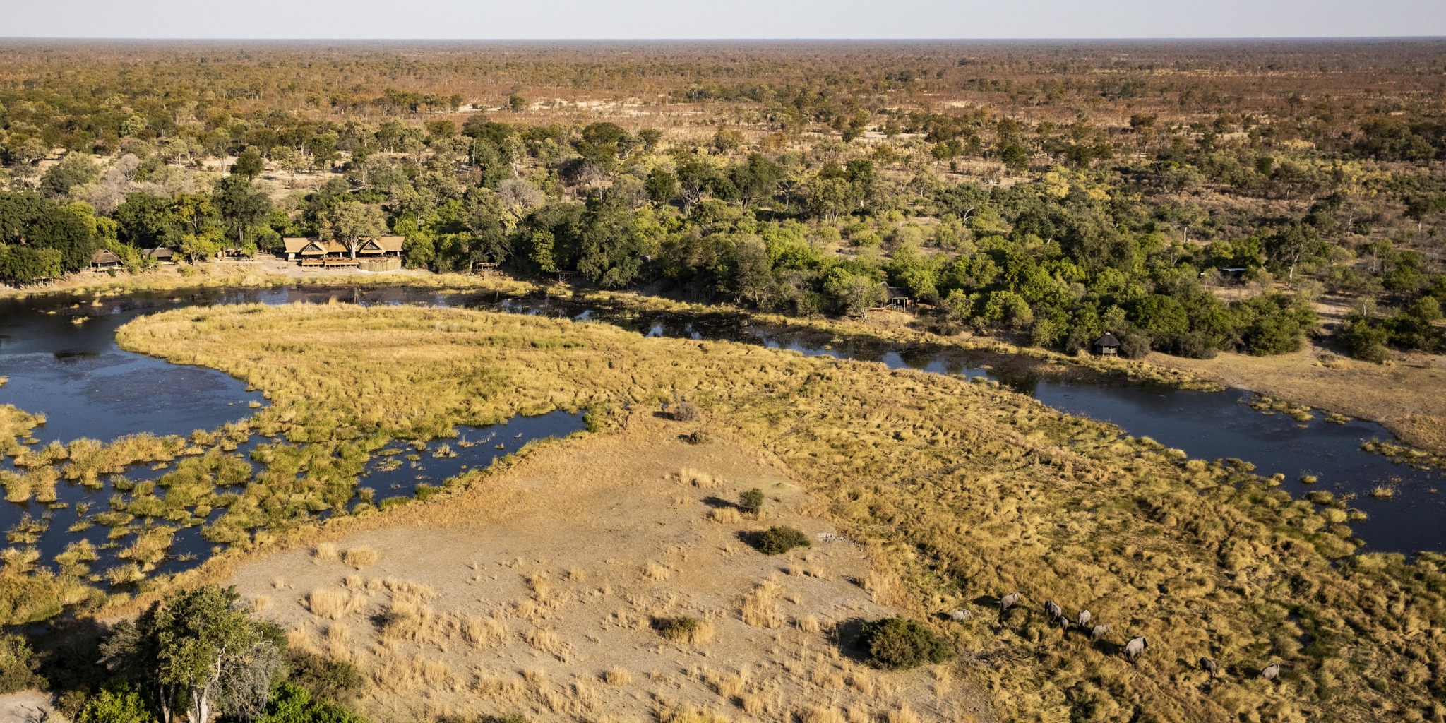 kings pool botswana view yellow zebra safaris