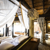 kings pool double bedroom view botswana yellow zebra safaris