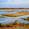 fly camping selous tanzania client blog 15