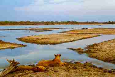 fly camping selous tanzania client blog 15