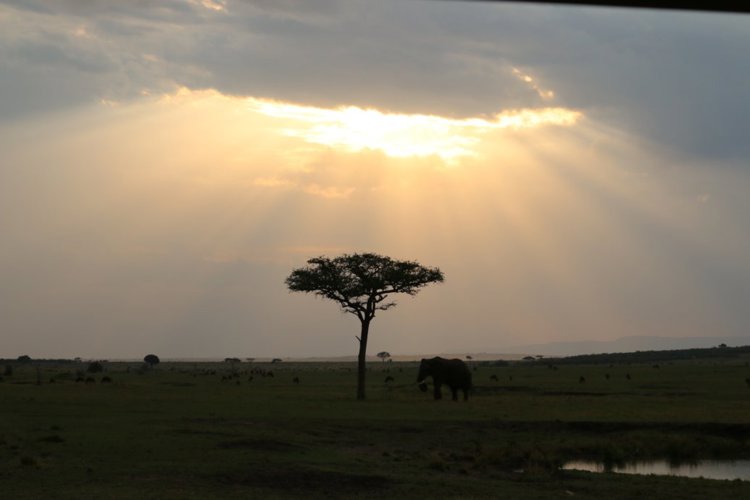 2 north client review clark couples safari tanzania