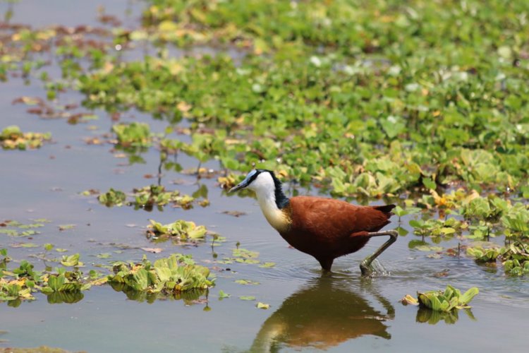 5 lake maynara client review clark couples safari tanzania