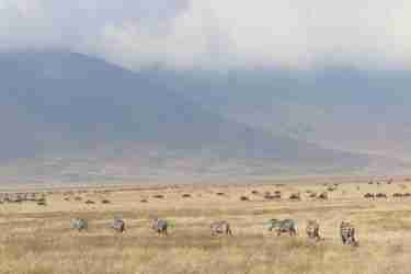 9 ngorongoro landscape client review clark couples safari tanzania