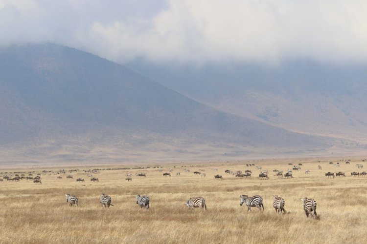 9 ngorongoro landscape client review clark couples safari tanzania