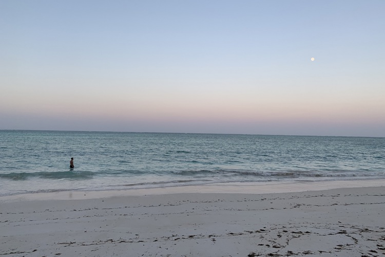25 client review clark couples safari tanzania