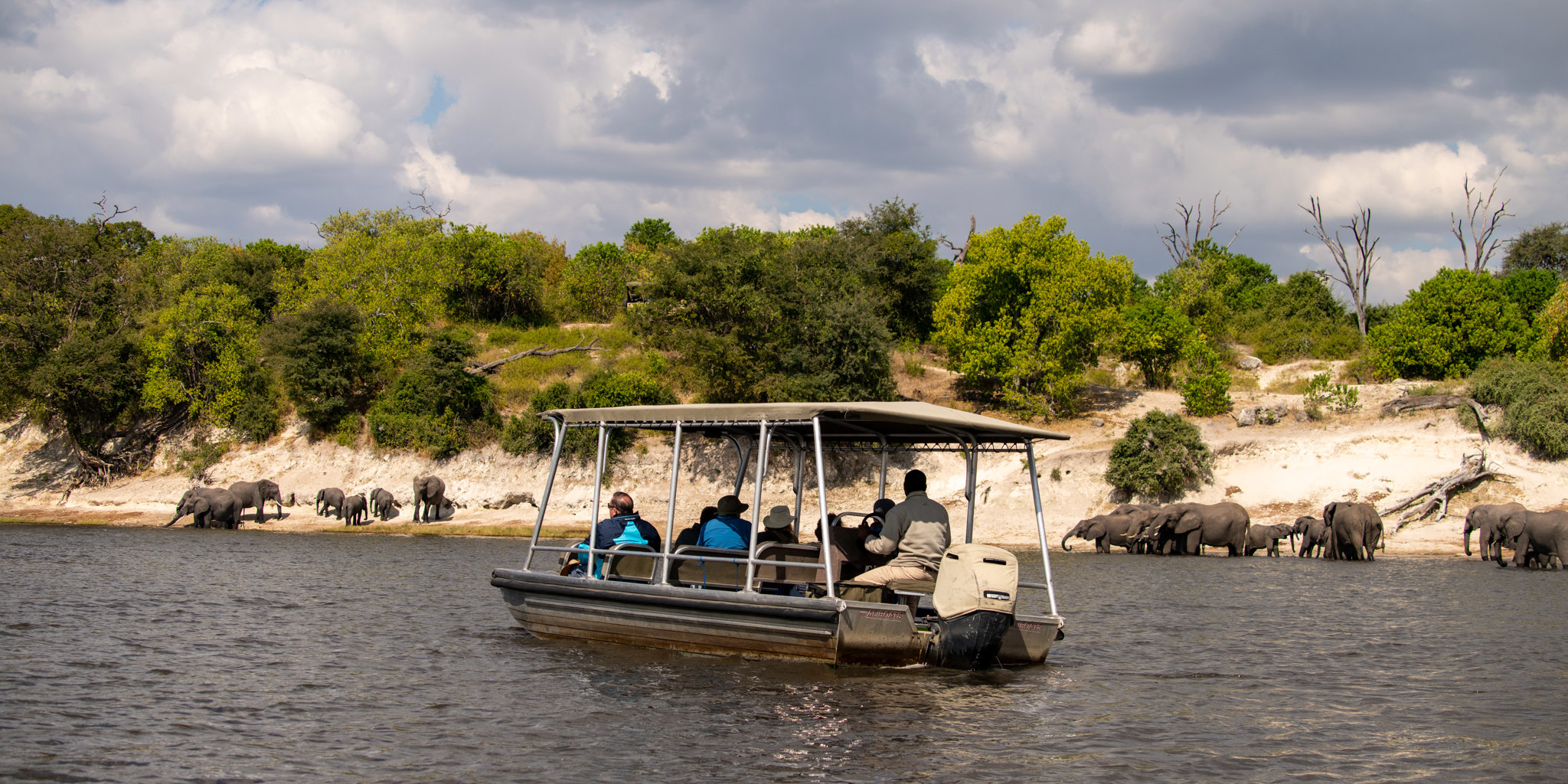 Zambezi queen tender boat botswana yellow zebra safaris