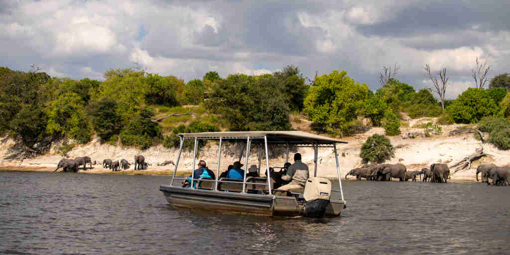 Zambezi queen tender boat botswana yellow zebra safaris