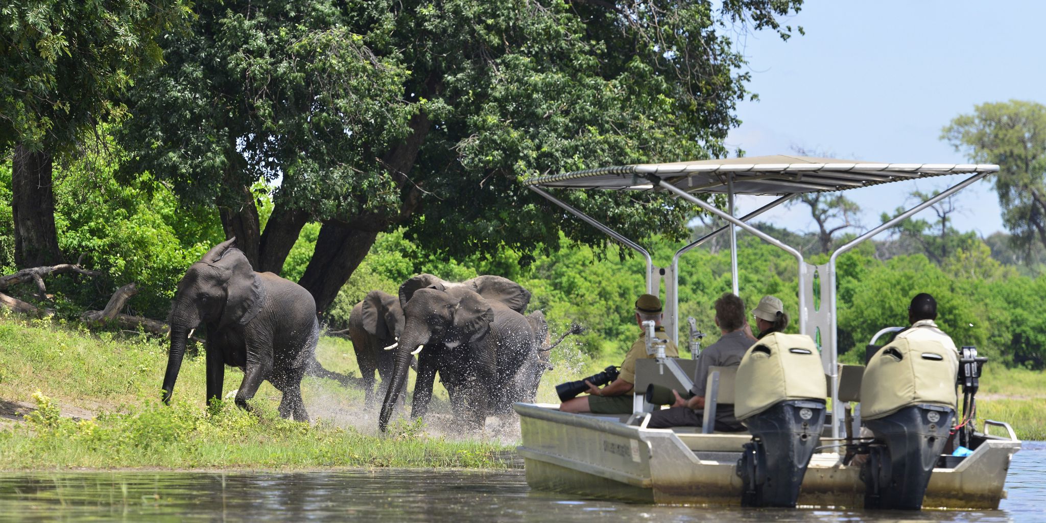 ichingo chobe river lodge game botswana yellow zebra safaris