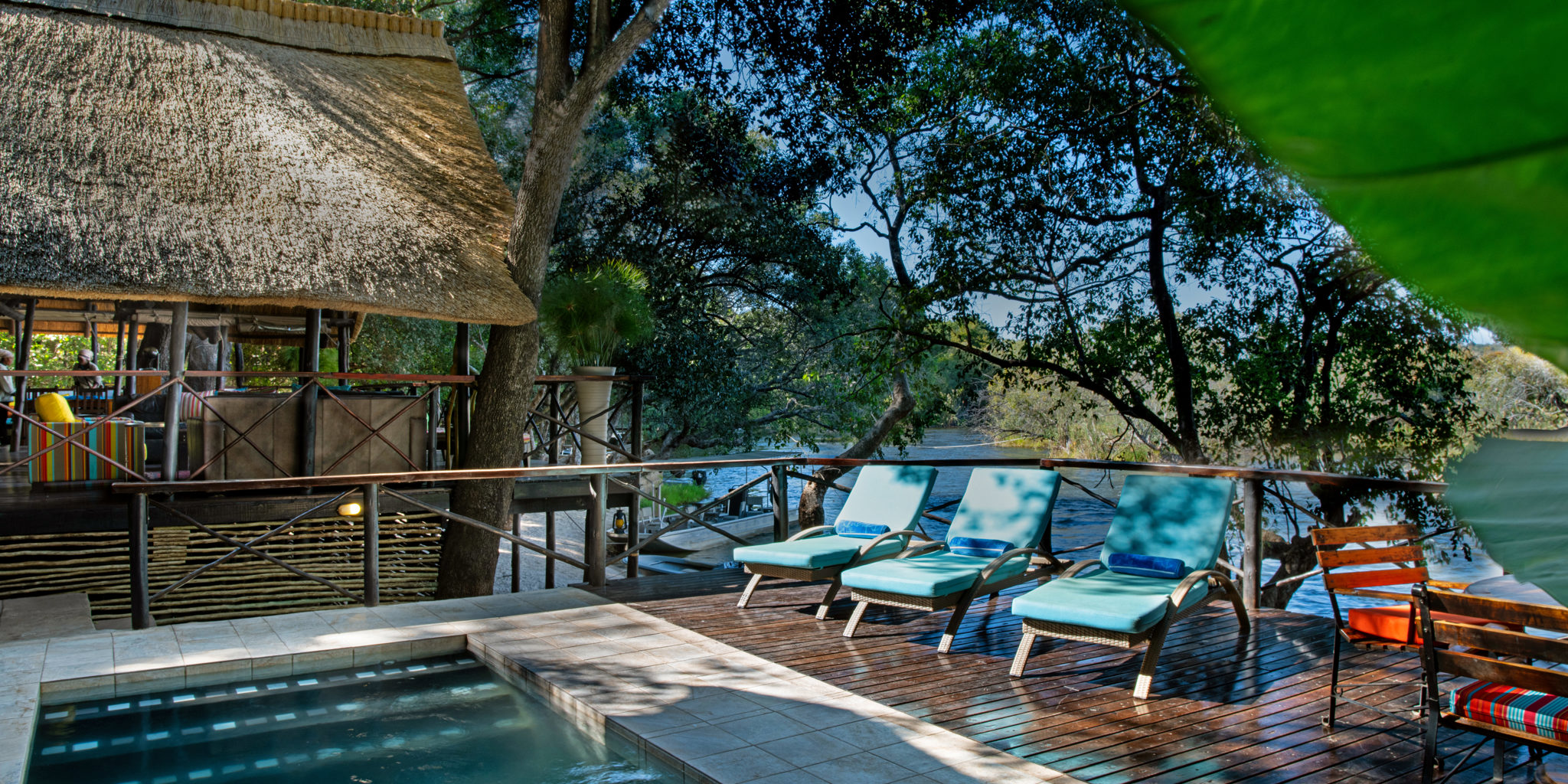 ichingo chobe river lodge pool botswana yellow zebra safaris