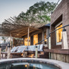 puku ridge zambia pool yellow zebra safaris