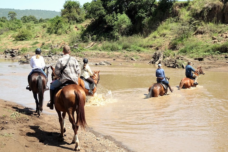 crossing horseback yellow zebra safaris
