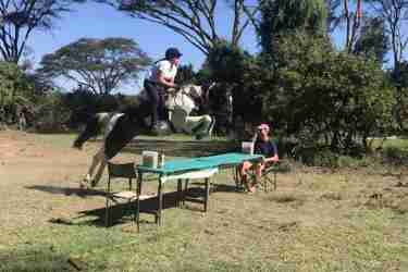 jump horse riding yellow zebra safaris
