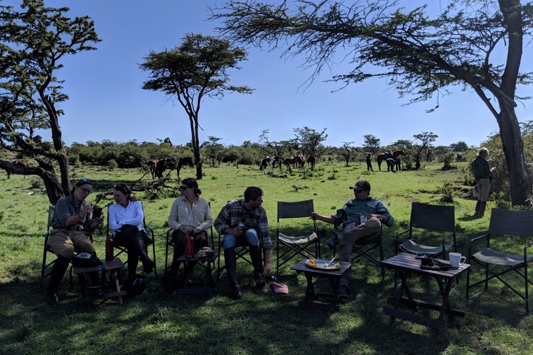 lunch horse riding yellow zebra safaris