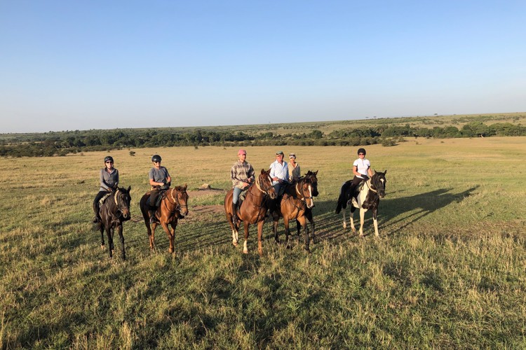 offbeat horse riding yellow zebra safaris