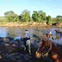 river crossing horseback yellow zebra safaris