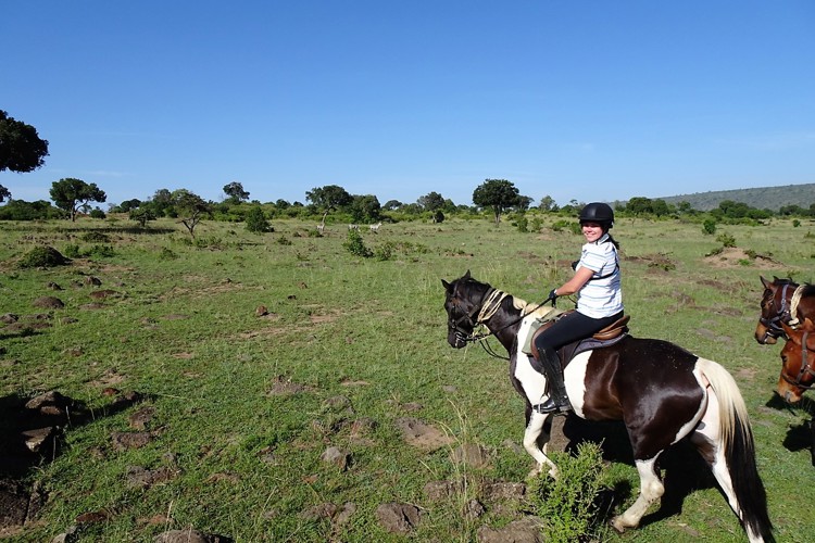 zebra horseback yellow zebra safaris