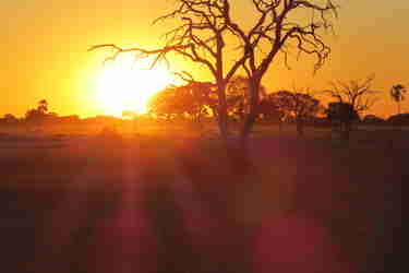 sunset hwange zimbabwe yellow zebra safaris